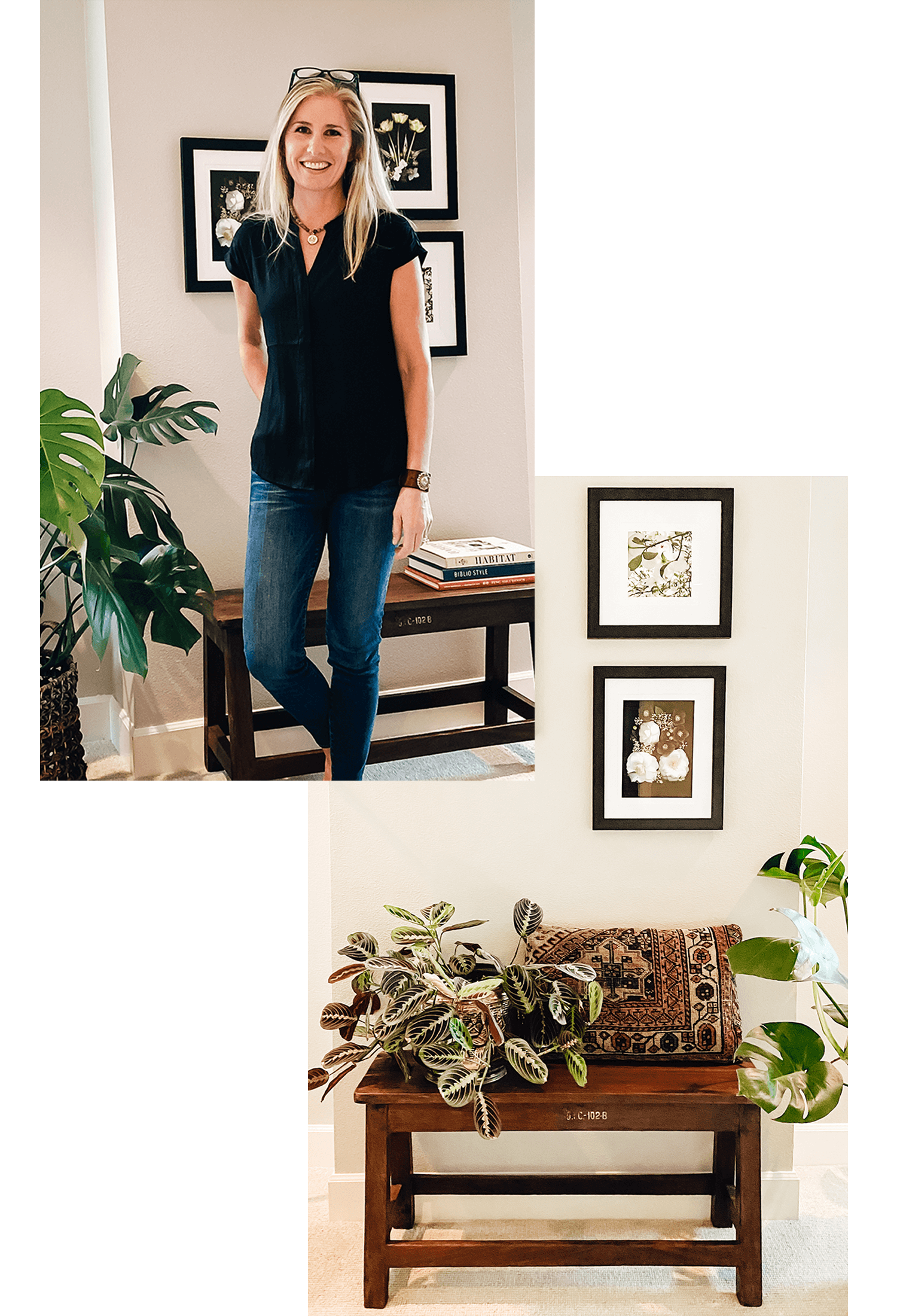 Carolyn Brazil Interior Designer (1)